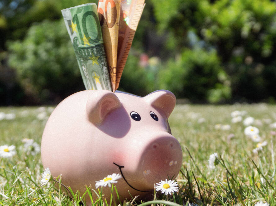 Geld in Sparschwein